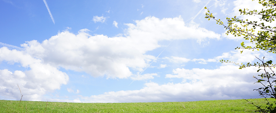 合同会社ワーゾ